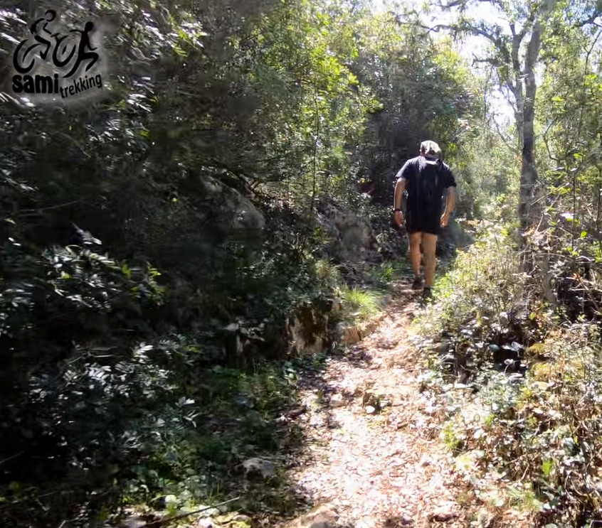 images/trekking_sami_kefalonia/kefalonia_hiking/kefalonia_walking_trails/walking_tours_kefalonia/kefalonia_trekking/argostoli_classic_tour/argostoli_tour_kefalonia_004.jpg